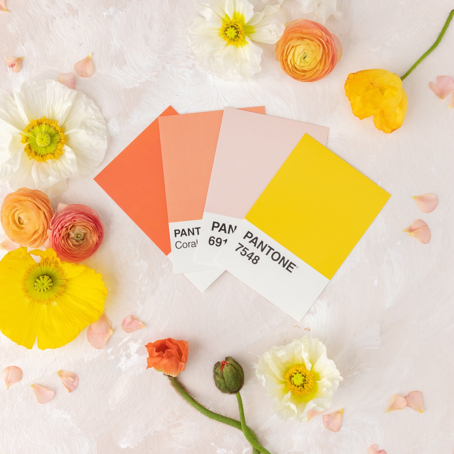 Wedding Planner Partner Program