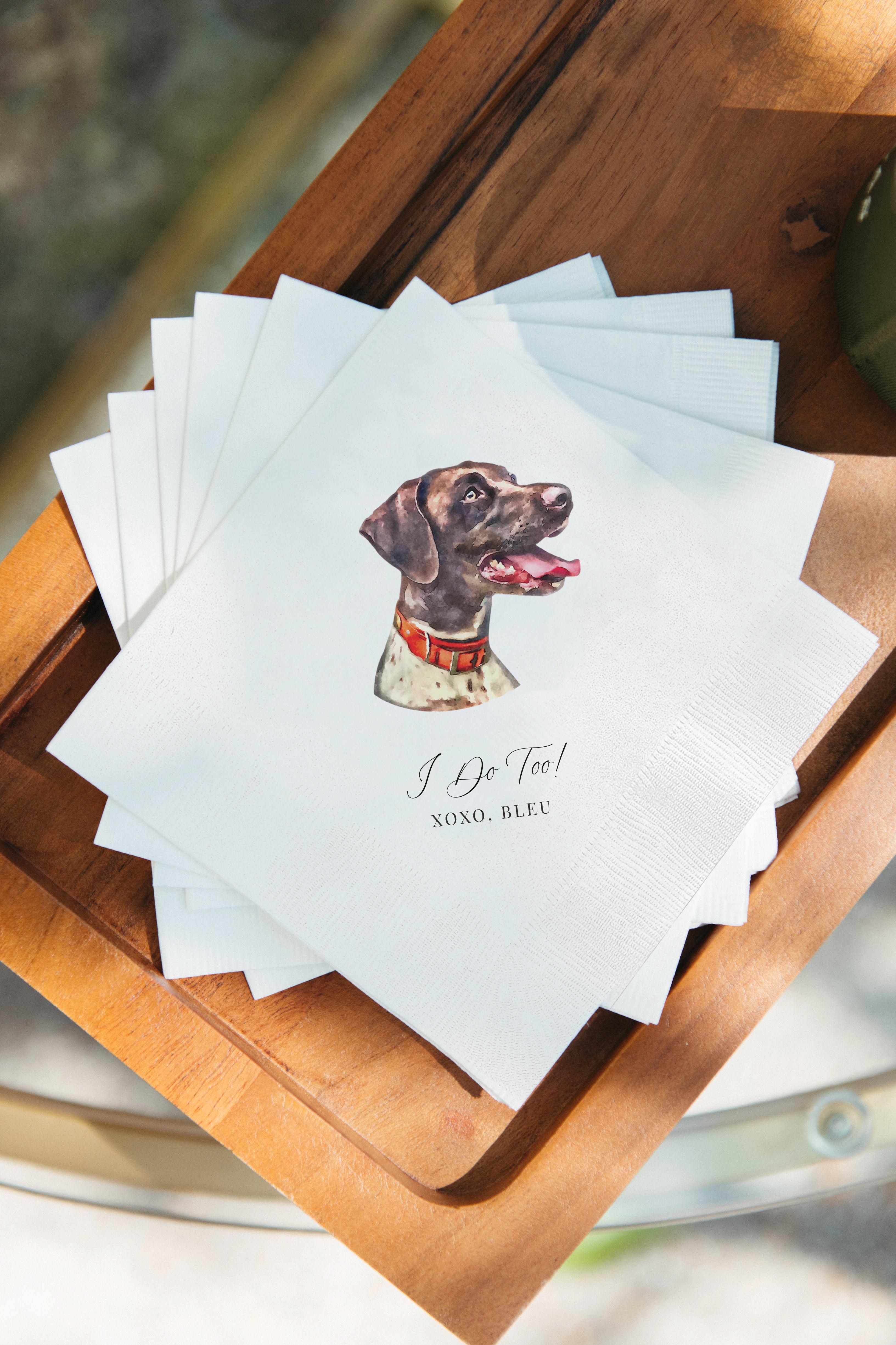 Single Color Pet Portrait Cocktail Napkins
